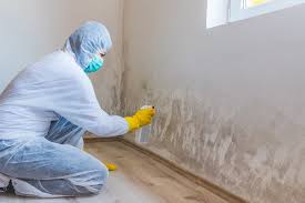 Best Mold Remediation for Healthcare Facilities  in Sarand, AL