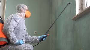 Mold Remediation for Rental Properties in Saraland, AL