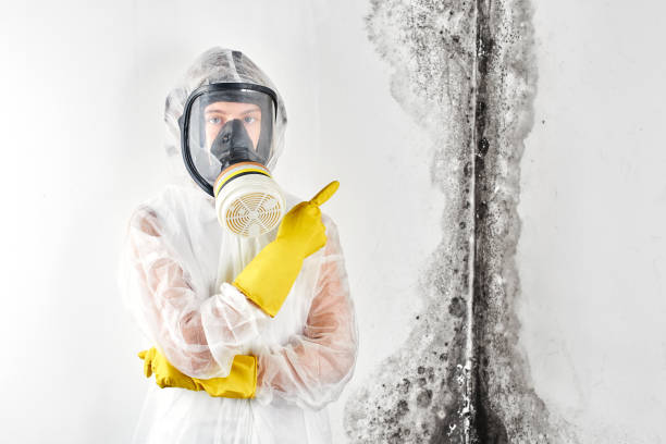 Best Mold Removal for HVAC Installations  in Sarand, AL