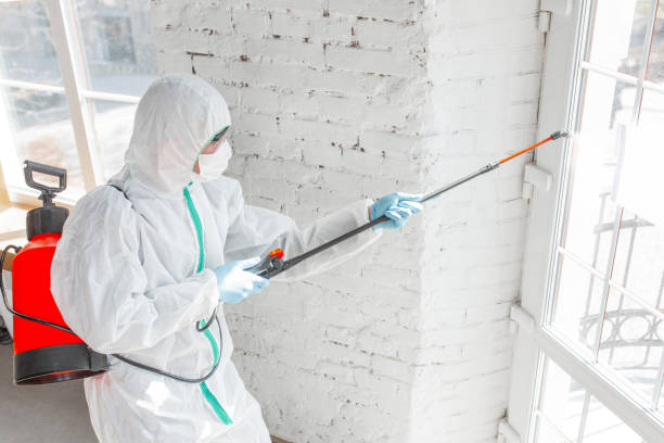 Best Industrial Mold Remediation  in Sarand, AL