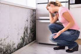  Sarand, AL Mold Removal Services Pros